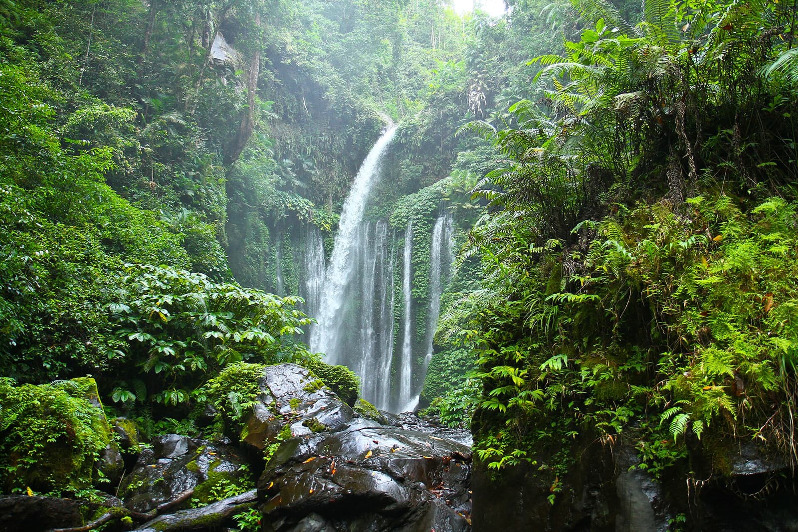 Der Wasserfall Tiu Kelep ergießt sich über eine grüne Felswand bei Senaru, Lombok