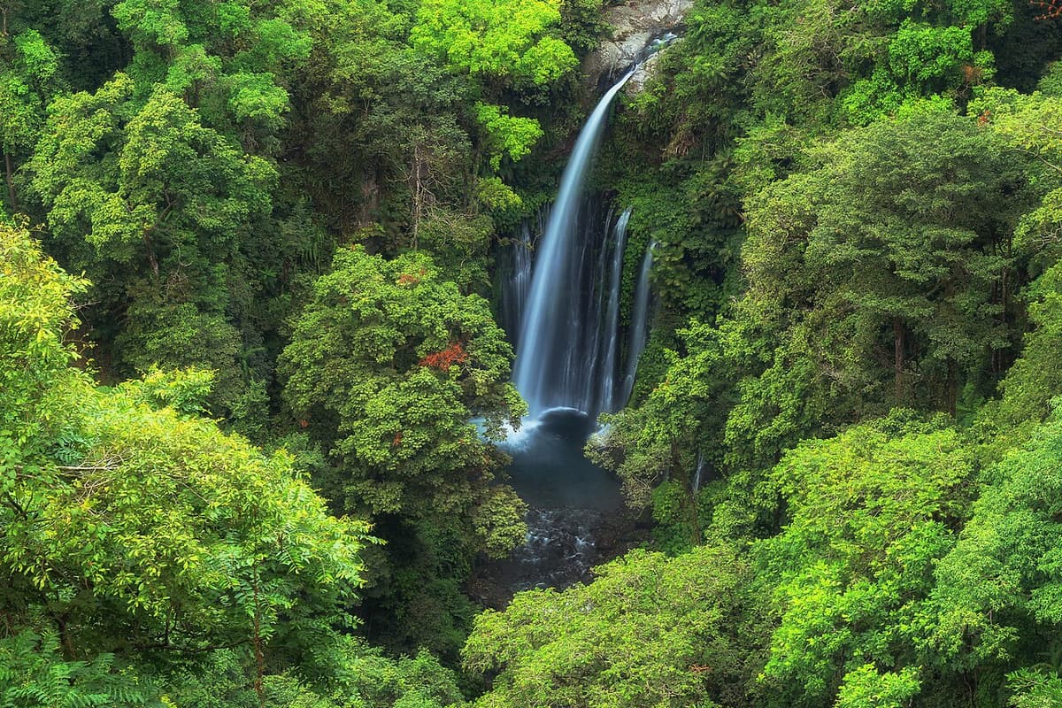 Air terjun tinggi jatuh ke ngarai hutan dekat Senaru, Lombok