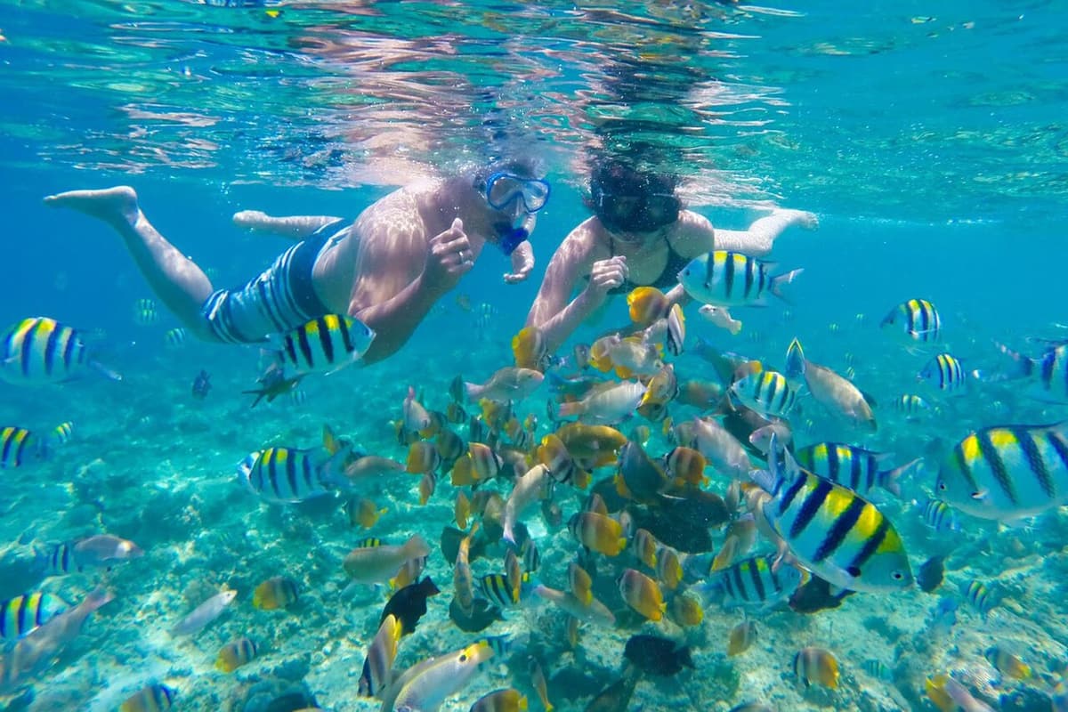 Zwei Schnorchler inmitten gestreifter Rifffische in klarem Wasser vor Lombok